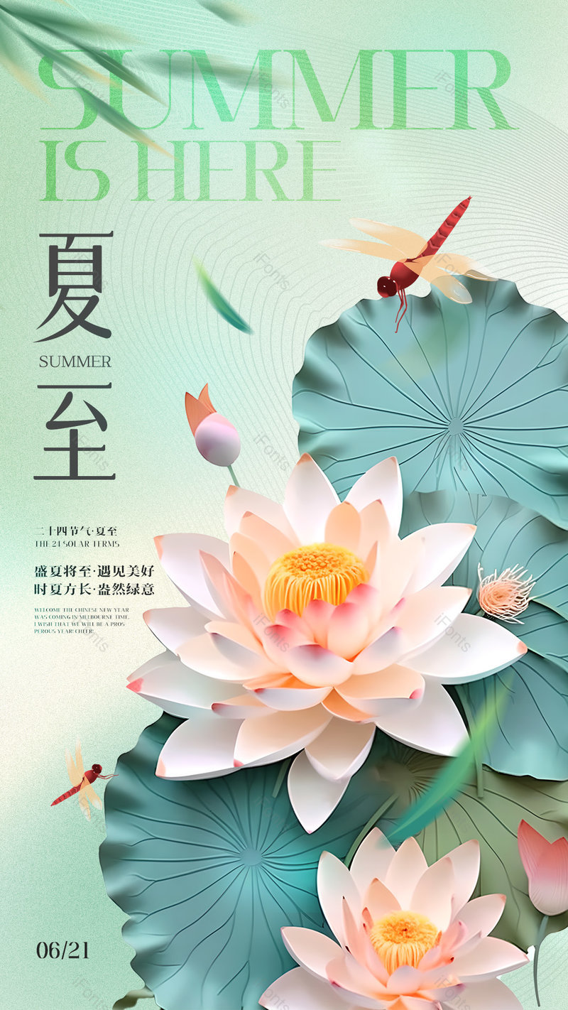 卡通简约荷花荷叶蜻蜓夏至节气海报,设计模板,设计模板大全,设计模板下载